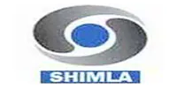 DD Shimla